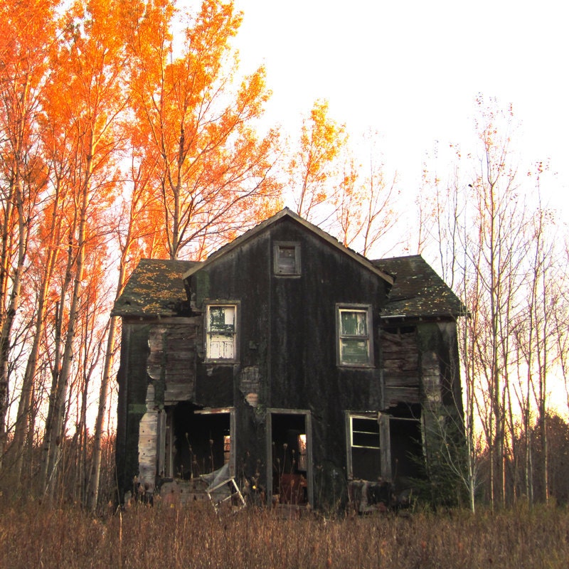 Time To Move On 10x10 Fine Art Photography