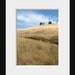 Happiness is Solitude and Fresh Air 5x7 Photograph $15
