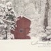 Red Barn on a Snowy Day - 10x10 Original Fine Art Print - Snow on the Trees - Red Barn - Original Wall Art