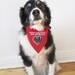 Supervillain Science Fiction Bad Dog reversible embroidered bandana, size SMALL