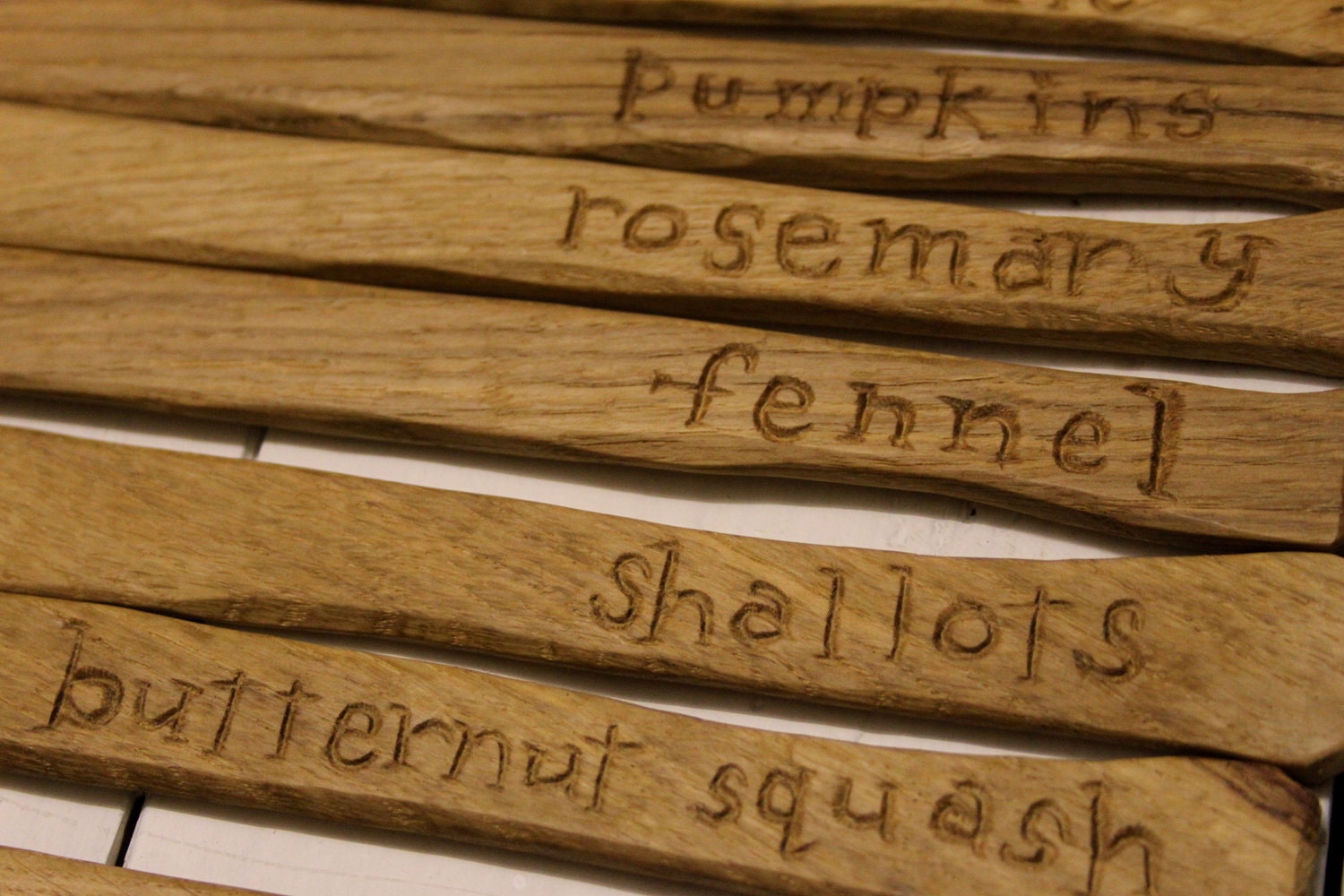 Oak Garden Labels