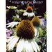 MJ's Song Greeting Card