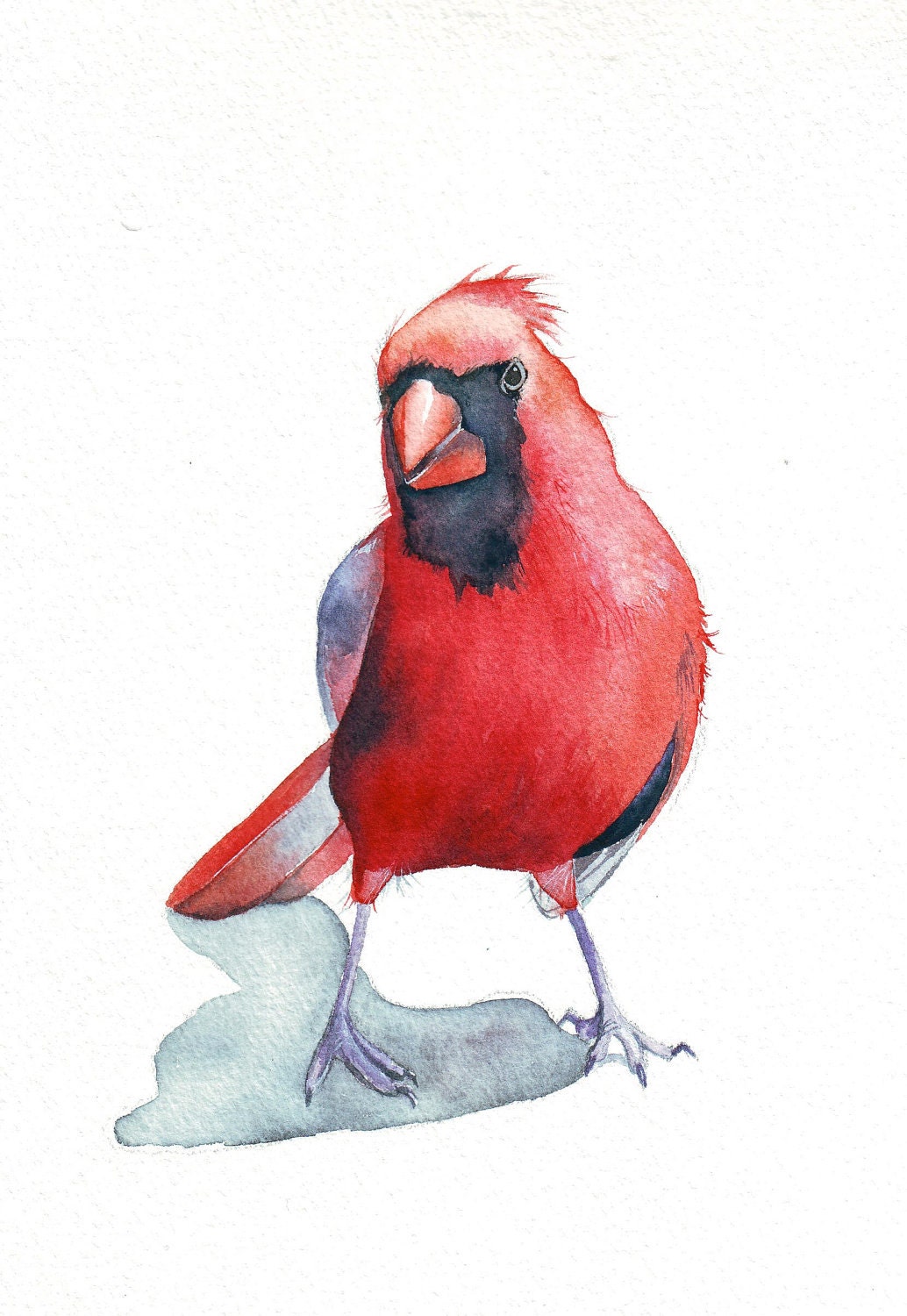 Cardinal ART Bird watercolor painting archival print