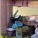 Woodland Fairy House Cafe Goes to the Beach
