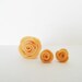 peach roses