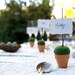 Garden Wedding Place Setting Cards, Rustic Moss Favors 10 Mossy Fairytale Fairy Classic Shabby Chic Country Theme Baby Shower Flower Pot