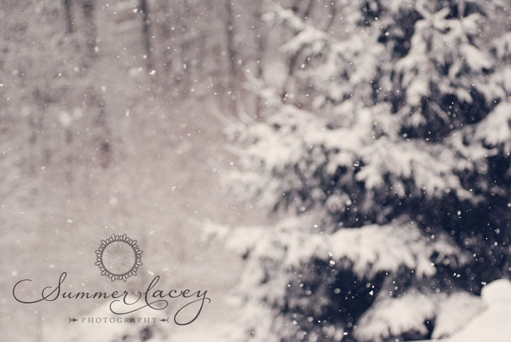Softly Fallen Snow - 10x10 Original Fine Art - Snow Softly Falling on a January Winter Day - Original Wall Art
