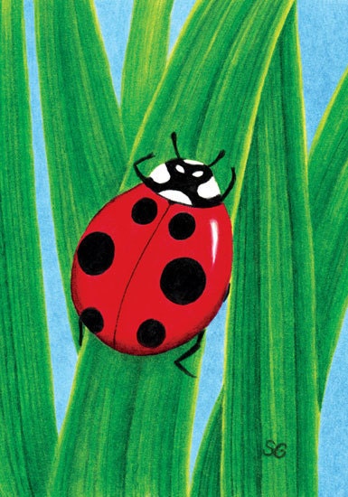 The Happy Ladybug 8x10 Print