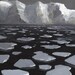 Neutral Ice Floats