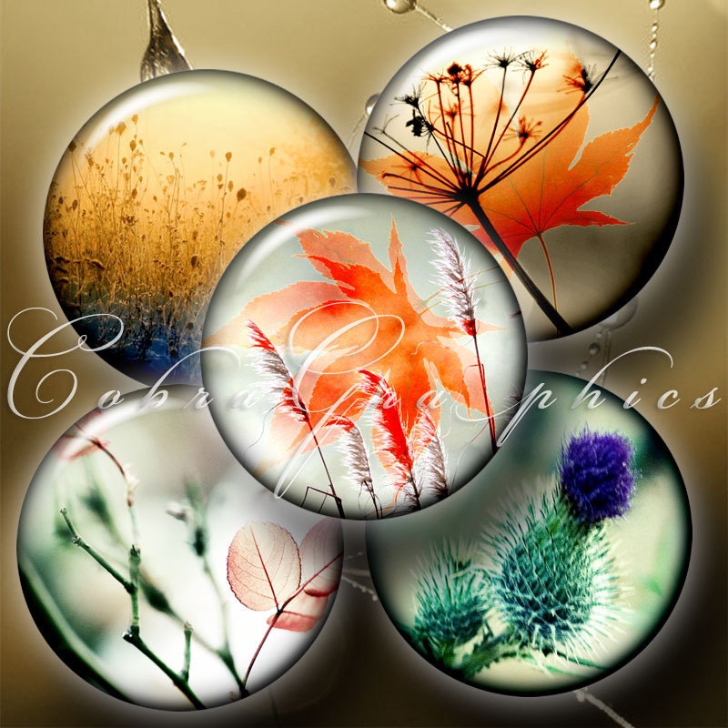 Tender CloseUp 2 Digital Collage Sheets CG438 15 by CobraGraphics