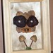 Small Shadow Box Owl and Mushrooms