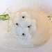 Cherry blossom bridal fascinator