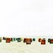 Amrum