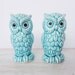 Turquoise Owl - Vintage Salt & Pepper Shakers