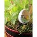 Confused Bunny and Chick Handmade Diorama Egg Decoration