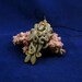 Steampunk Cuttlefish Necklace - Polymer Clay Neo-Victorian Jewelry