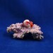 Vivid Red Nautilus Pin - Handmade Polymer Clay Jewelry