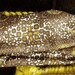 Florida Handbags,Handmade in Florida.