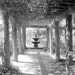 Arlie Gardens - Fine Art Photography