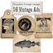 NEW 16 Vintage Ads Clip Art Image Collection:  - 100% Scalable Vector Art