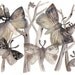 Moths - Large Print of Watercolor