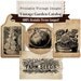 NEW Vintage Garden Seed Catalog Clip Art Collection - 100% Scalable Vector Art