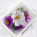 Mothers day card white purple spring romantic cosmos flowers Easter fine art photo note card gift blank inside. tbteam, rusteam, oht