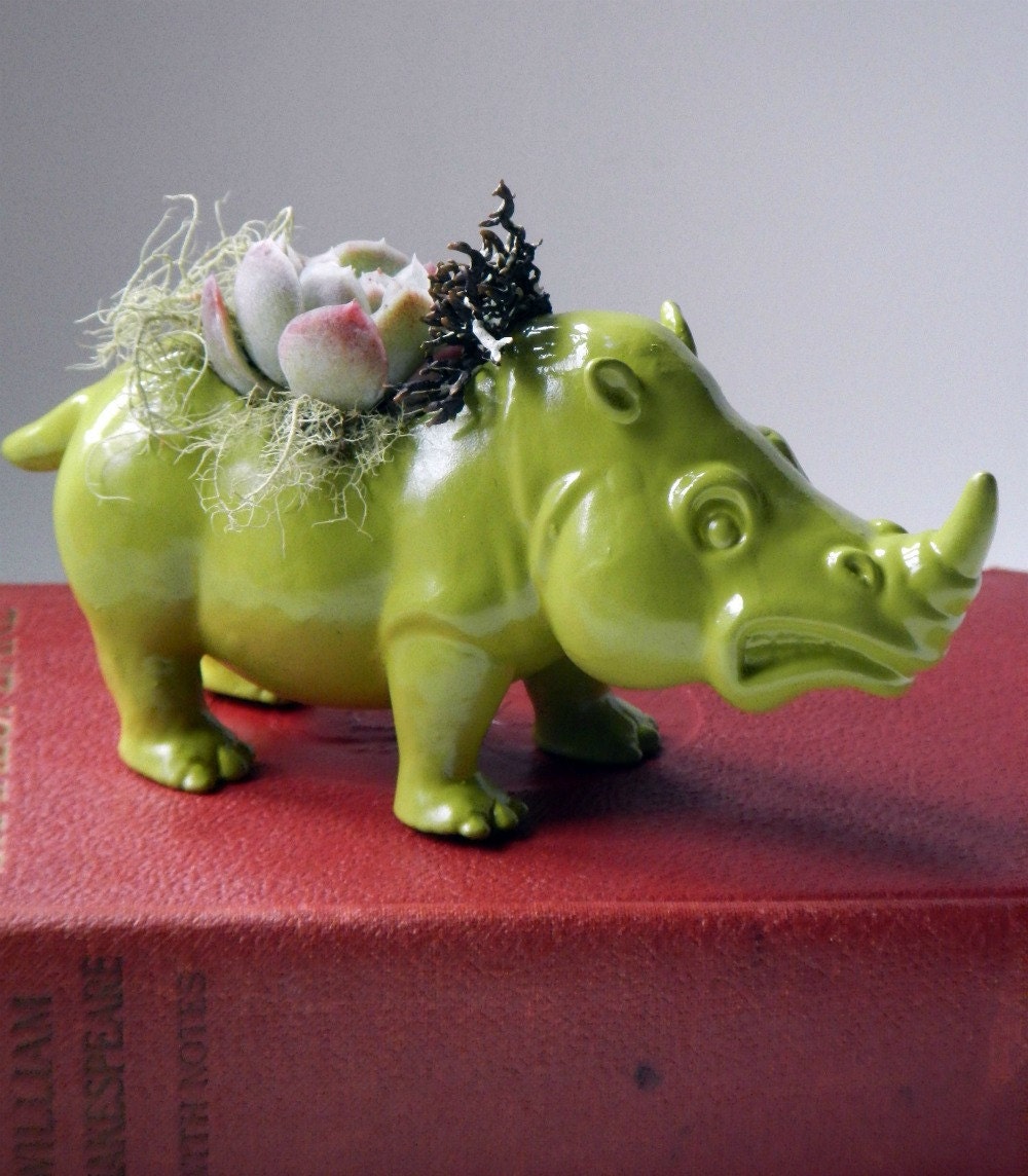 Moss Green Rhinoceros Planter - Mini Modern Art Centerpeice