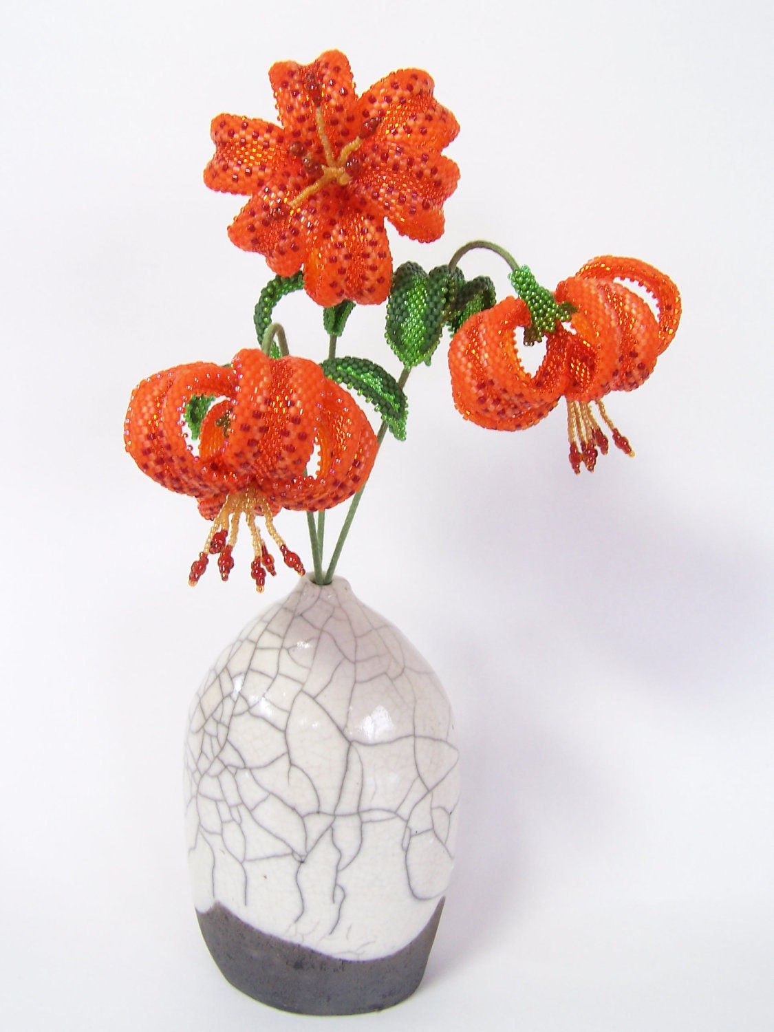 Turk's Cap Lily