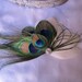Stunning Peacock and  Ivory Goose Feather Fascinator