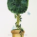 Cottage Garden Topiary Watercolor with Fairy Dragonfly