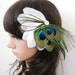 Stunning Peacock and  Ivory Goose Feather Fascinator
