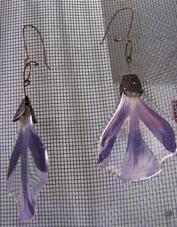 Earrings real purple tulip.