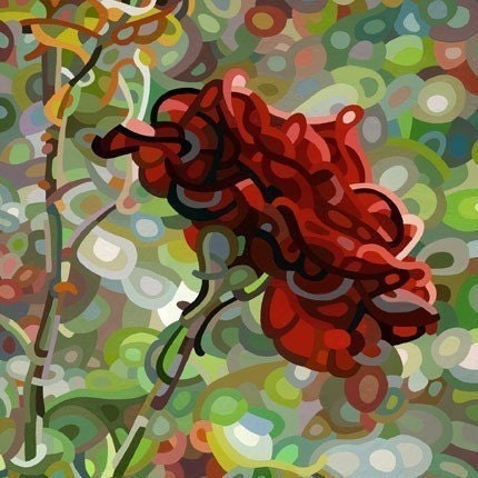 budanArt 8 x 10 Chunky Print - Last Rose of Summer