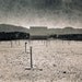 Drive-in of the Apocolyse 5x7 Photograph, Desert, Black and White, Dilapidated