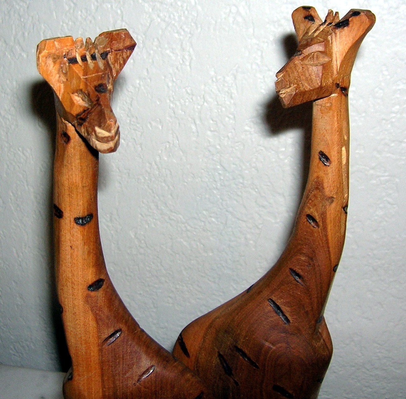 Kenyan Giraffes Conversation