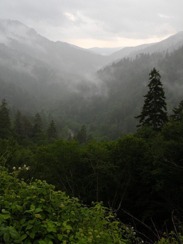 9" x 12"  Smoky Mountain National Park Photograph - traditional Photo print