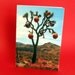 Decorated Desert Christmas Card Set $36