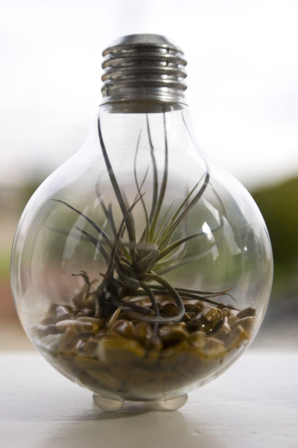 lightbulb 2