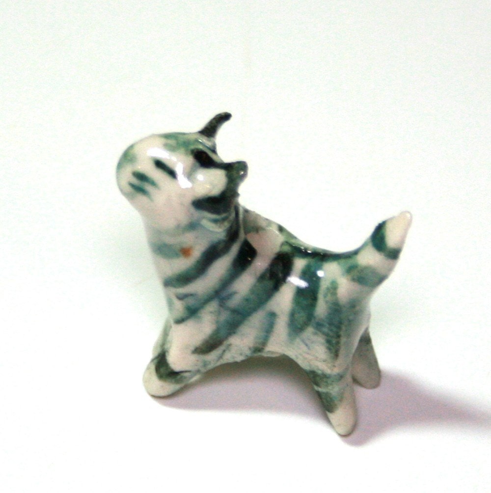 Tiny Tabby の掲示板投稿写真＆画像
