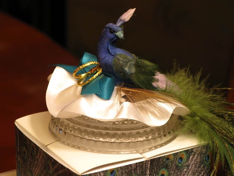 PEACOCK FEATHER wedding favor cake boxes and centerpiece