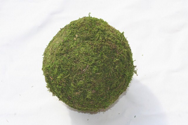 Moss is preserved Use for wedding decorations or in your home