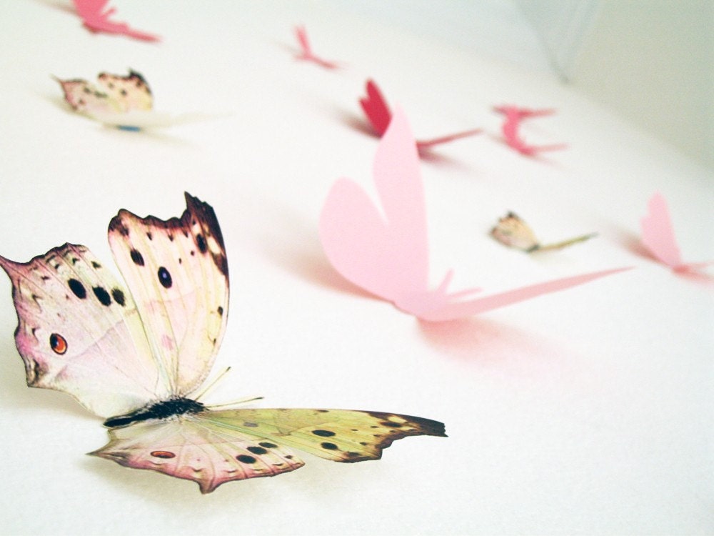 30 Assorted Multicolor Butterflies Dragonfly Pink Red Paper Wall Decor 