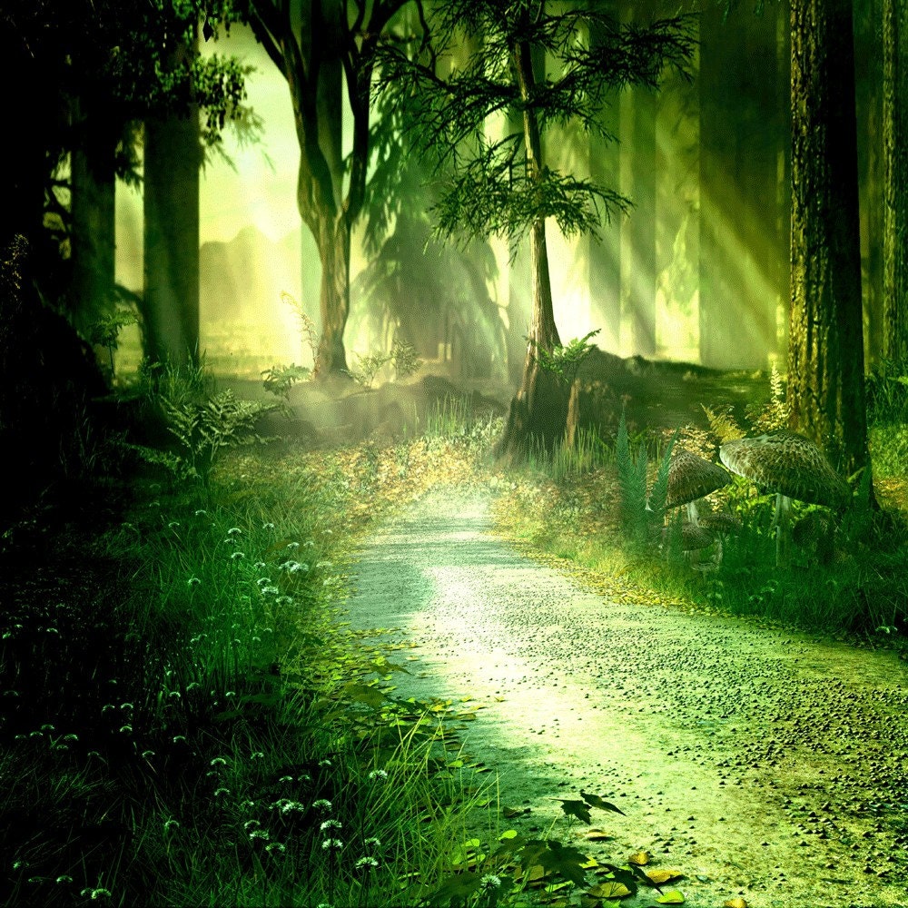 shinning forrest の掲示板投稿写真＆画像