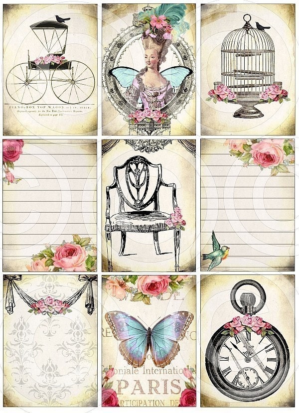 Printable Designs WHiMSiCaL Bird Cage Fairytale Carriage Paris Butterfly