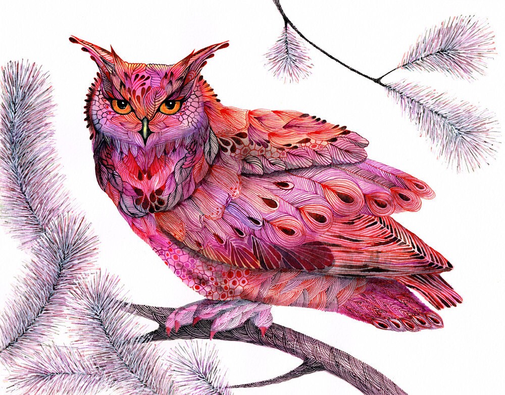 cranberry owl