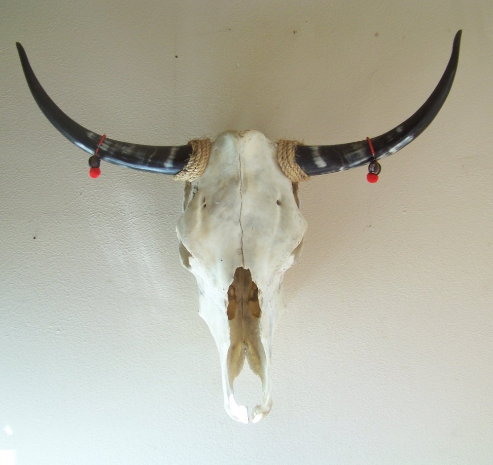 skull Mexican folk art skull Mexican folk art