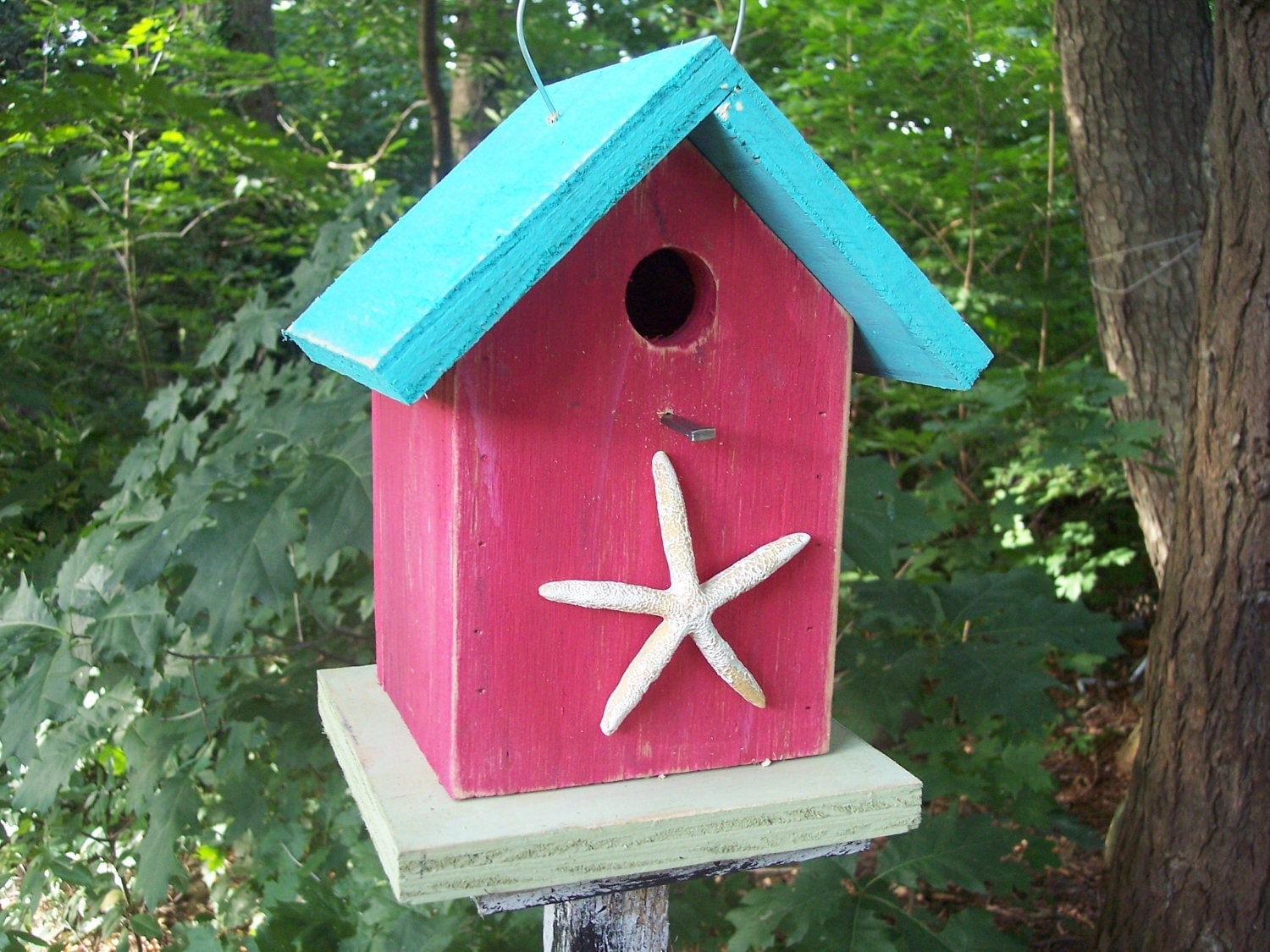 Nautical Star Fish Turquoise Rose Red Light Green Primitive Birdhouse