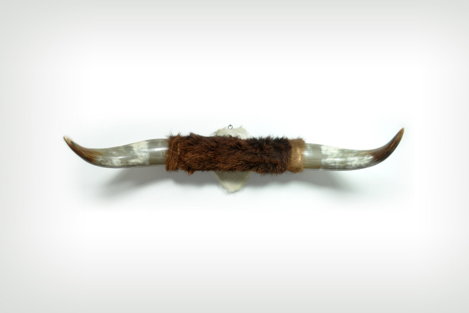 Vintage Bull Horns  Antlers  Made In Mexico By GoreeLane