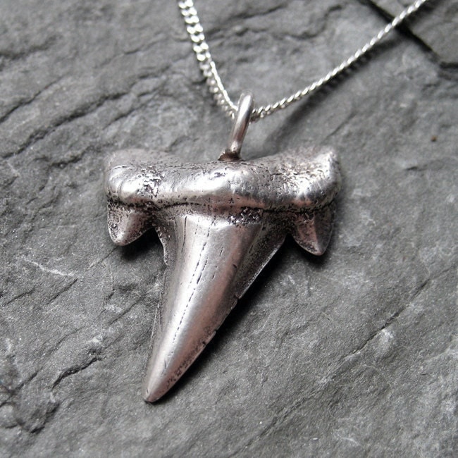 Maneater - silver shark tooth necklace - mastolodon - extinct shark-shark tooth necklace, sterling silver, recycled, silver shark tooth